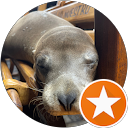 The happy traveler “Jomi” profile picture