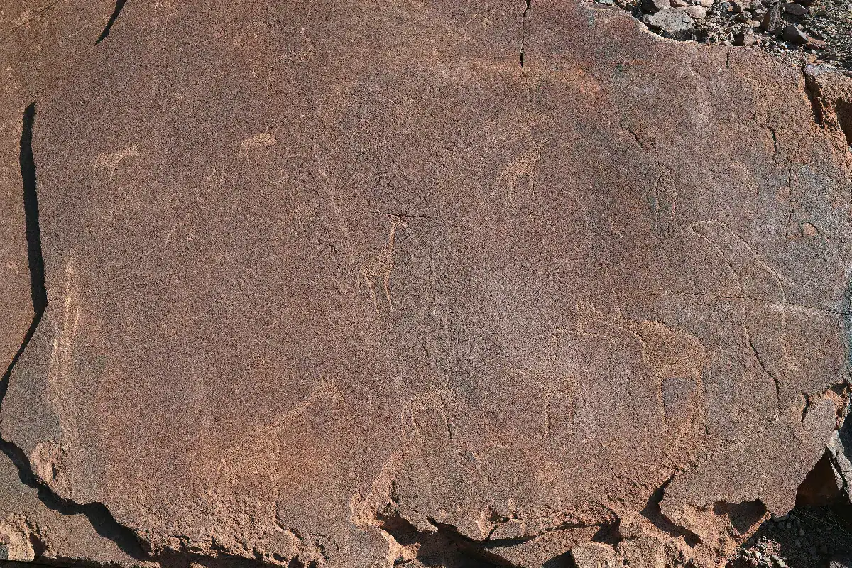 Twyfelfontein rock engravings in Damaraland, Namibia