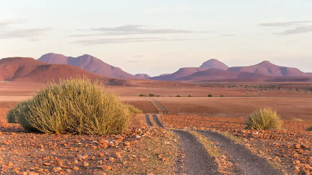 Palmwag Concession Namibia — vast basalt landscape with flat-topped mountains in Damaraland