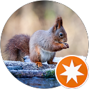 Josep M Bernaus profile picture
